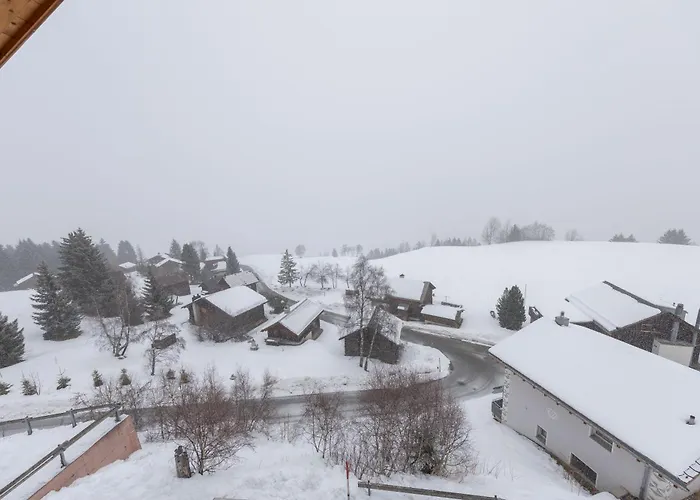 Tga Pilu A Cozy And Modern On Slopes With Wonderful Mountains View * Savognin